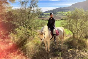 Mallorca: Aktivitet med hästar, Antika Mallorca