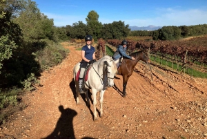 Mallorca: Aktivitet med hästar, Antika Mallorca