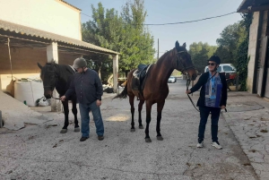 Mallorca: Aktivitet med hästar, Antika Mallorca