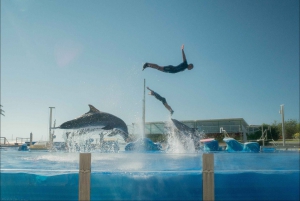 Mallorca: Admission Tickets for Marineland Mallorca