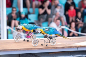 Mallorca: Admission Tickets for Marineland Mallorca