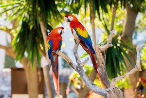 Mallorca: Admission Tickets for Marineland Mallorca