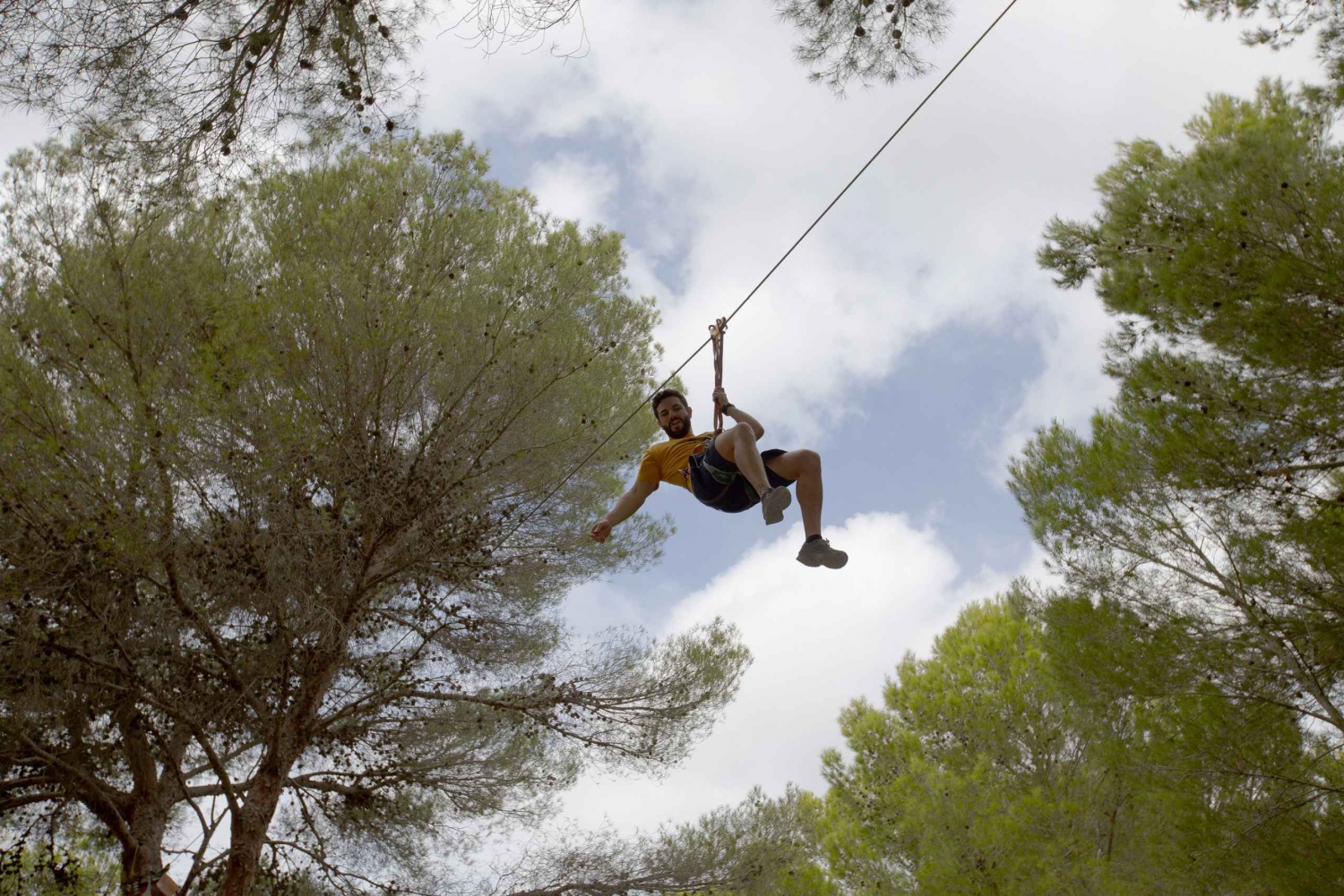 Mallorca: Adrenaline Tree Top Adventure & Entry Ticket