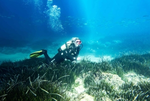 Майорка: приключенческий дайвинг (без лицензии - в спокойный межсезонье)
