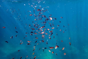 Майорка: приключенческий дайвинг (без лицензии - в спокойный межсезонье)