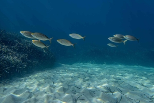 Майорка: приключенческий дайвинг (без лицензии - в спокойный межсезонье)