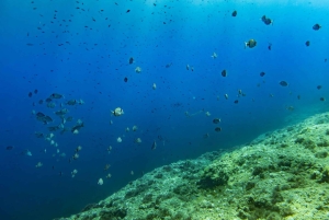 Майорка: приключенческий дайвинг (без лицензии - в спокойный межсезонье)