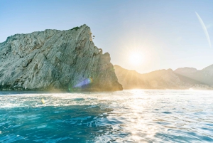 マヨルカ島：アルクディア ベイ ジェット スキー ツアー