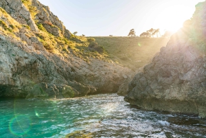 マヨルカ島：アルクディア ベイ ジェット スキー ツアー