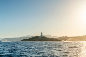 マヨルカ島：アルクディア ベイ ジェット スキー ツアー