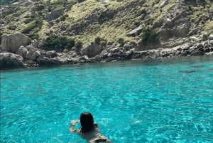 Maiorca: Alcudia: tour privato in barca con snorkeling