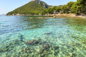 Maiorca: Alcudia: tour privato in barca con snorkeling