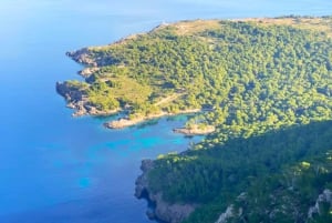 Майорка: Алькудия: частная экскурсия на лодке со снорклингом