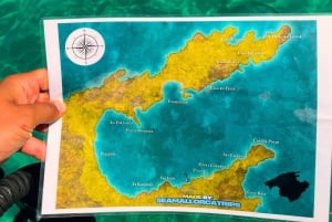 Mallorca: Alcudia, privat båttur.