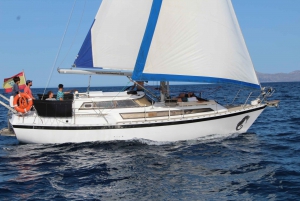 Mallorca/Alcudia: Private Boat Trip with snack and Swim