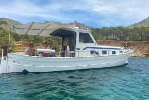 Mallorca: Alcudia private boat trip