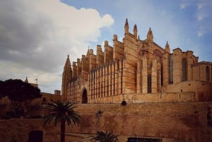 Visite à pied privée de Majorque et des cathédrales
