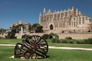 Visite à pied privée de Majorque et des cathédrales
