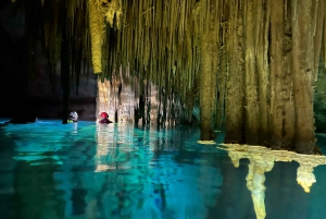Mallorca: Aquatic Cave Exploration Guided Tour