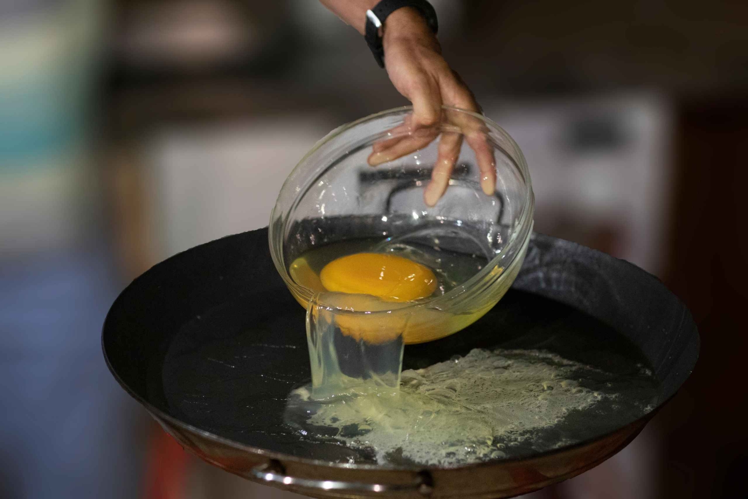 マヨルカ島：アルテストルズ - ダチョウ牧場のチケット入場