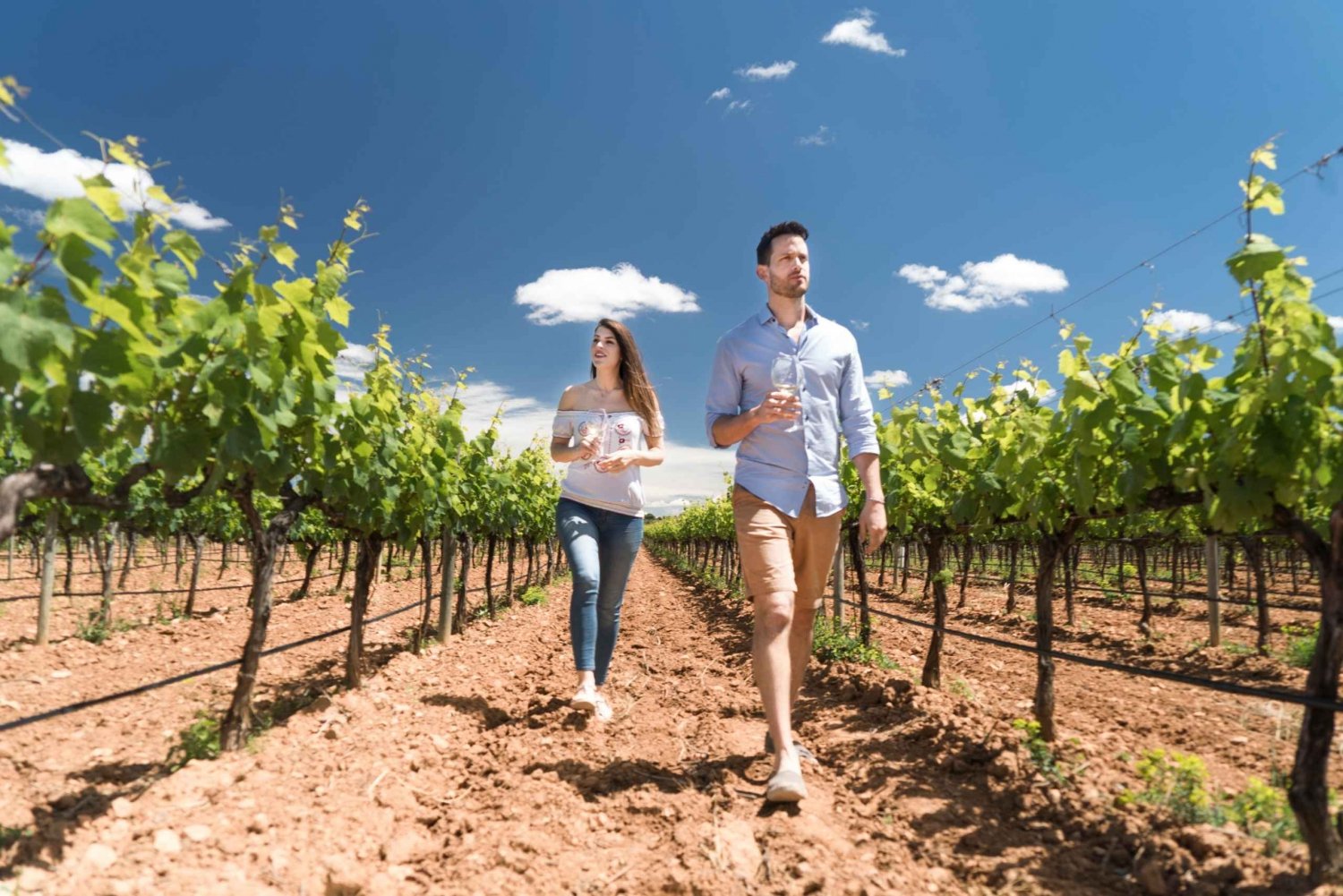 Mallorca: Authentic Winery Tour and Tasting Experience