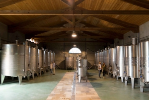 Mallorca: Authentic Winery Tour and Tasting Experience