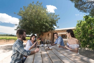Mallorca: Authentic Winery Tour and Tasting Experience