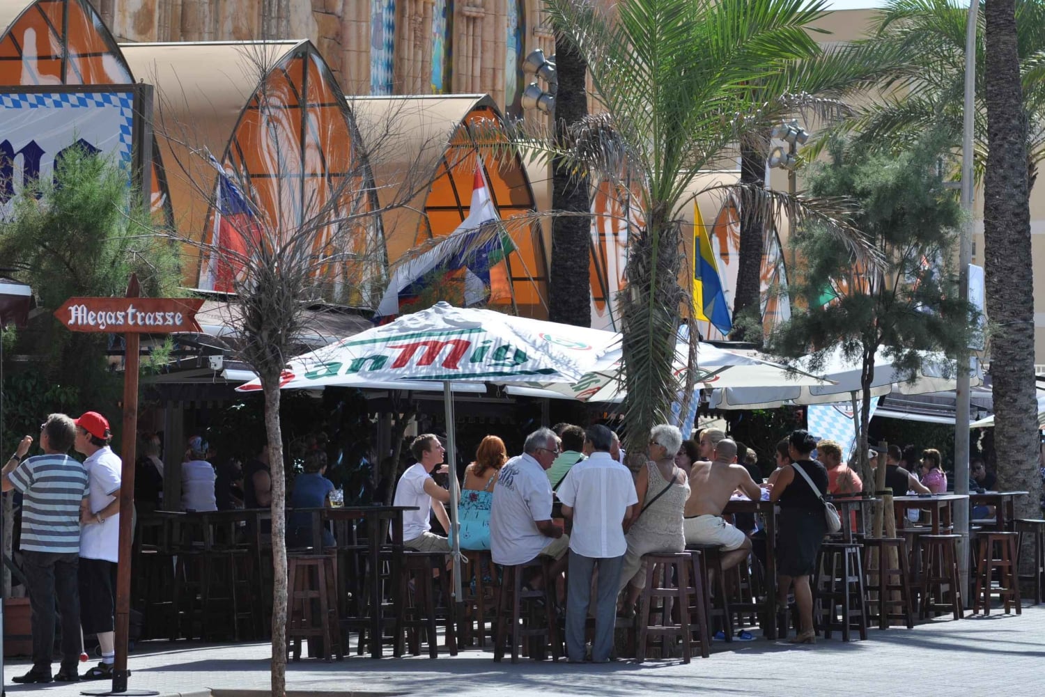 Майорка: однодневная экскурсия на вечеринку в Баллерманн