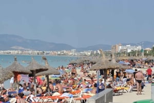 Майорка: однодневная экскурсия на вечеринку в Баллерманн