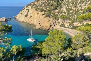 Majorque : belle visite privée à bord d'un petit catamaran