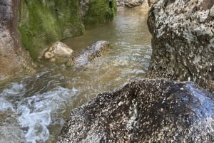 Mallorca: Canyoning for begyndere – niveau I