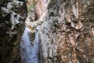 Mallorca: Canyoning for begyndere – niveau I
