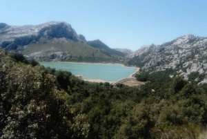 Mallorca: E-Bike or Mountain Bike Rental - 3 Model Options