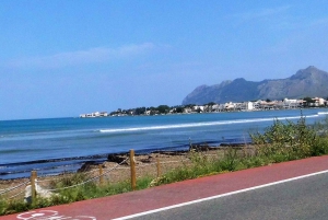 Mallorca: E-Bike or Mountain Bike Rental - 3 Model Options