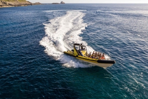 Mallorca: Bladerunner Jet Boat Excursion