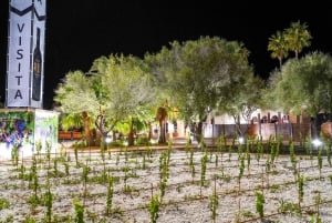 Majorka: bilet do Bodega Blanca Terra - opcjonalna degustacja wina