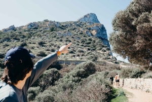 Majorque : Excursion en bateau sur l'île de Dragonera + Sant Elm