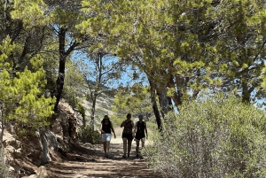 Majorque : Excursion en bateau sur l'île de Dragonera + Sant Elm
