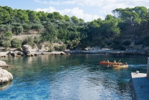 Majorque : Excursion en bateau sur l'île de Dragonera + Sant Elm