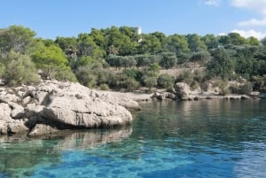 Majorka: Transfer łodzią między Port Andratx a Sant Elm