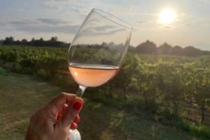 Mallorca: Bodega Butxetin viinitarha- ja viinitilakierros ja maistelu