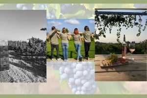 Mallorca: Bodega Butxetin viinitarha- ja viinitilakierros ja maistelu