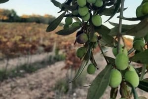 Mallorca : Visite en minibus d'une bodega et de l'huile d'olive avec dégustations