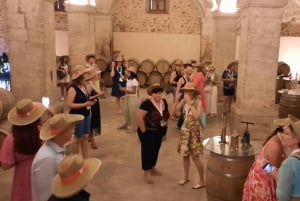 Mallorca: Bodega & Olivenöl Minibus Tour mit Verkostungen