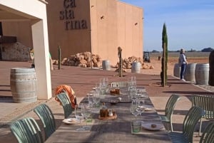 Mallorca: Bodega- og olivenolie-minibustur med smagsprøver