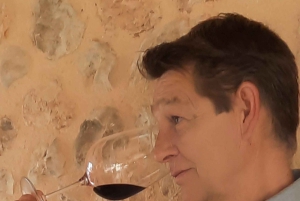 Majorka: Wycieczka minibusem po winnicach i gajach oliwnych z degustacją wina/oliwy