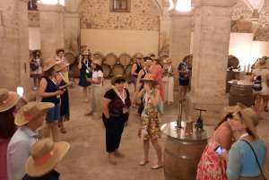 Majorka: Wycieczka minibusem po winnicach i gajach oliwnych z degustacją wina/oliwy