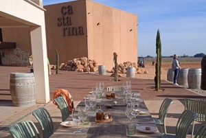 Majorka: Wycieczka minibusem po winnicach i gajach oliwnych z degustacją wina/oliwy