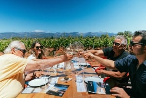 Mallorca: omvisning på vingården Bodegas Ángel med vinsmaking