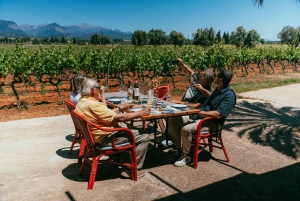 Mallorca: omvisning på vingården Bodegas Ángel med vinsmaking